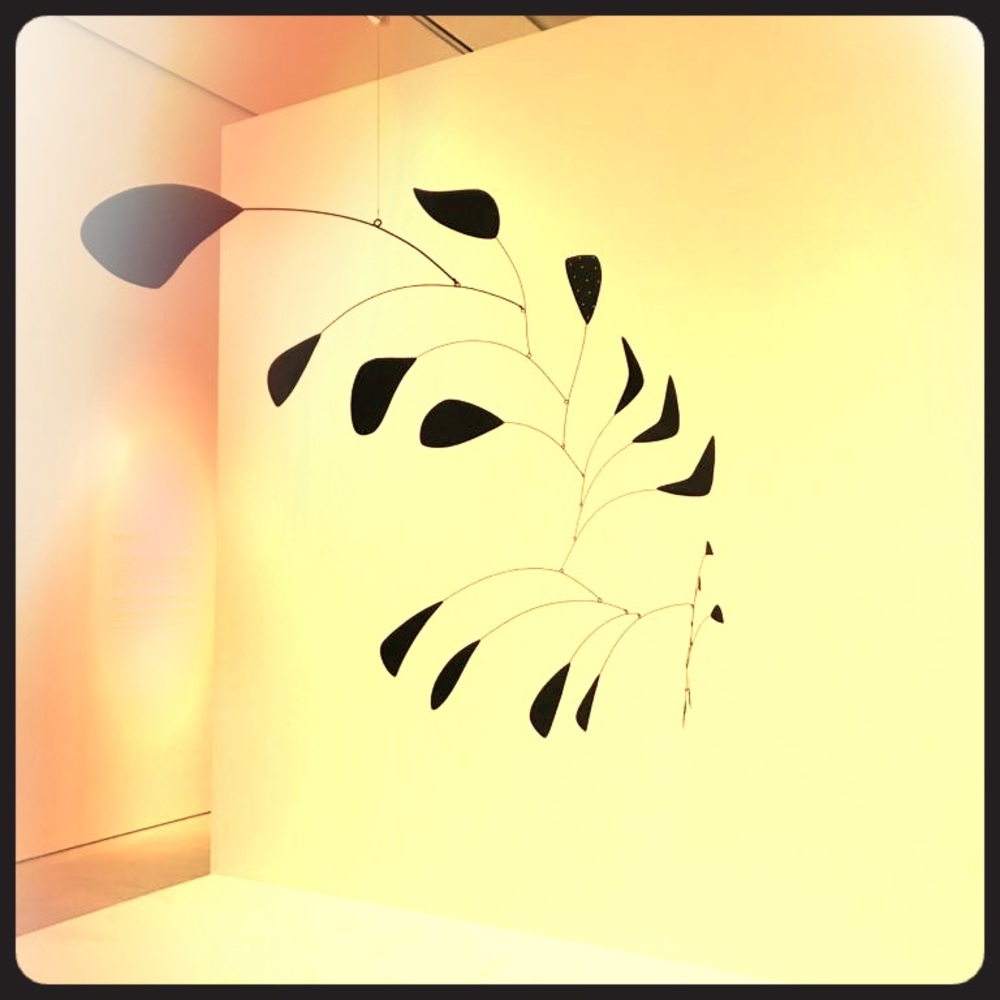 Meet your Posher, Sue